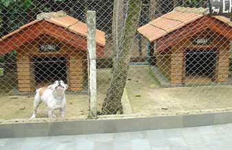 Canil Holy Frans - Foto 1