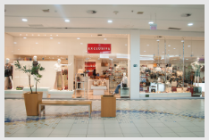 Exclusiva – Prudenshopping - Foto 1
