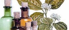 farmacias-de-homeopatia-presidente-prudente-1494784914