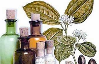 Dose Ativa Homeopatia - Foto 1