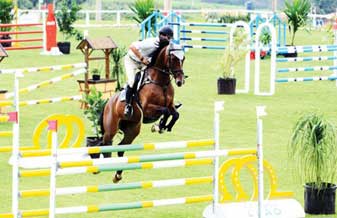Haras JR Preto - Foto 1