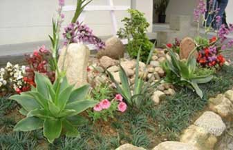 Ornamento Jardins  - Foto 1