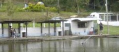 pesqueiros-presidente-prudente-1494176953