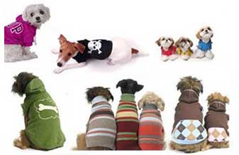 Neide Valente Cremonezi  - Foto 1