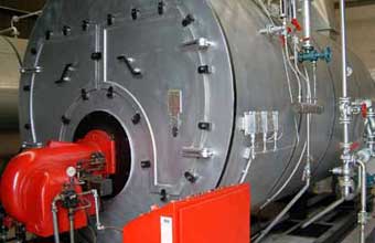 Lavô Tá Novo  - Foto 1