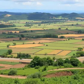 leilão de terrenos