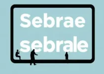Sebrae Móvel Experiências Digitais
