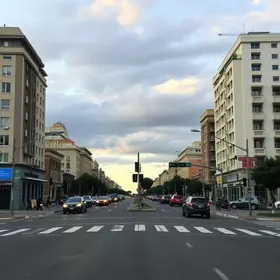 família de quati para trânsito