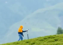 oportunidades de emprego