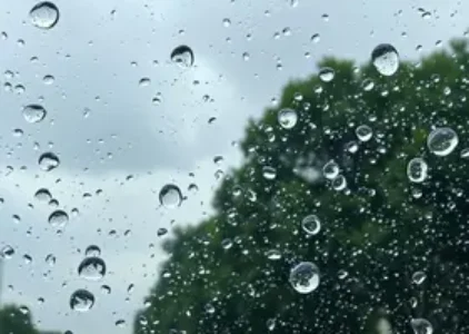 granizo interior de SP