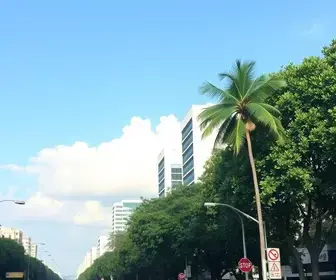 feriado de Nossa Senhora Aparecida
